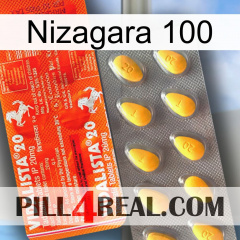 Nizagara 100 new01
